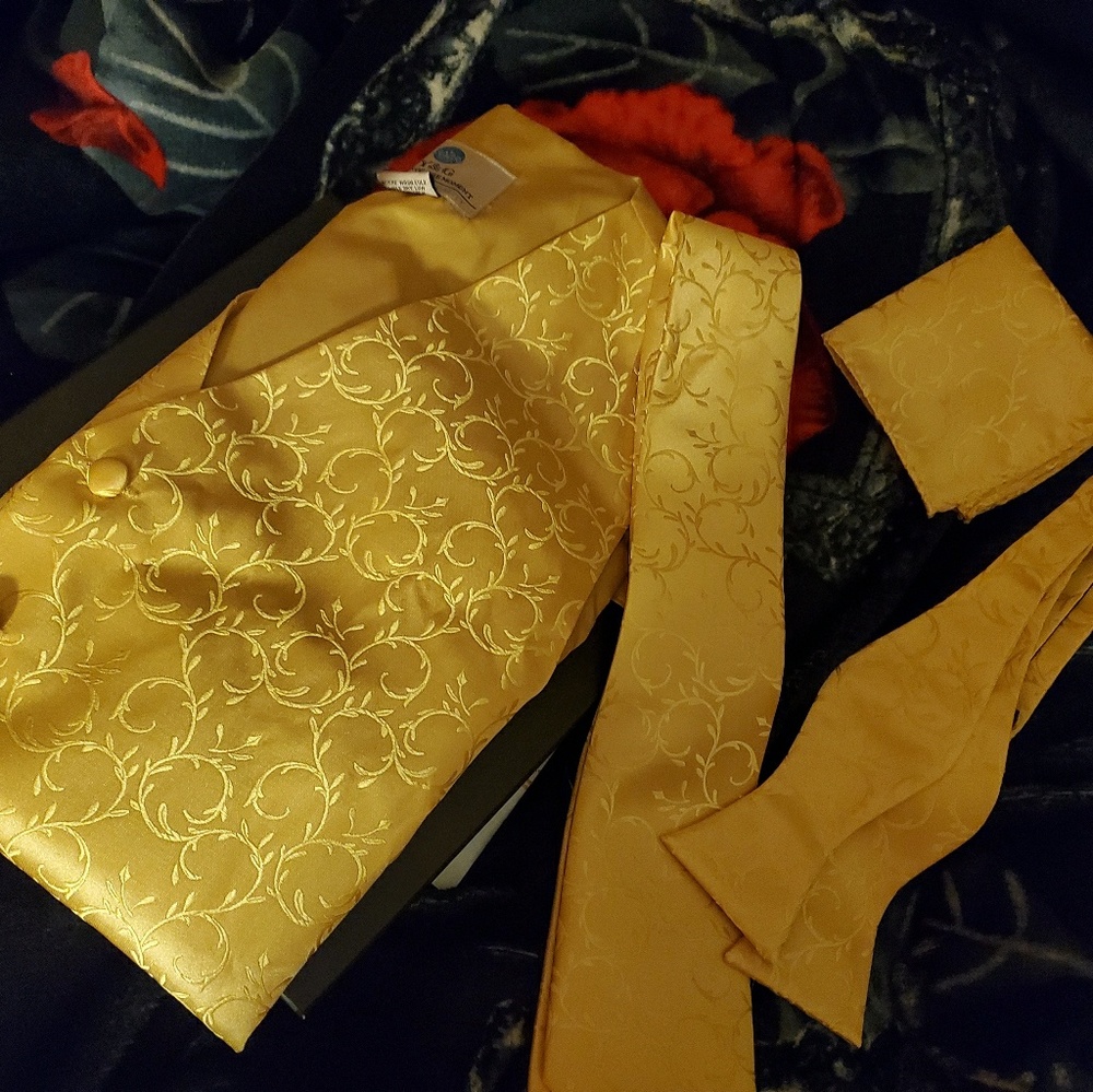 Vest, bow,  tie and Pocket napkin